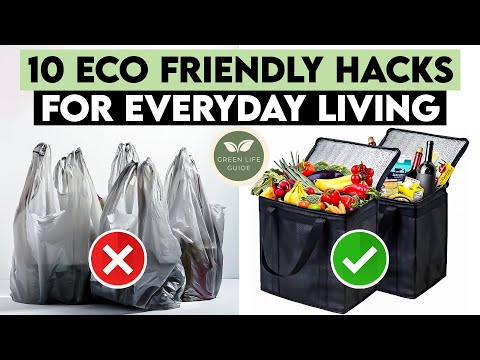 10 Surprising Eco-Friendly Hacks for Everyday Living